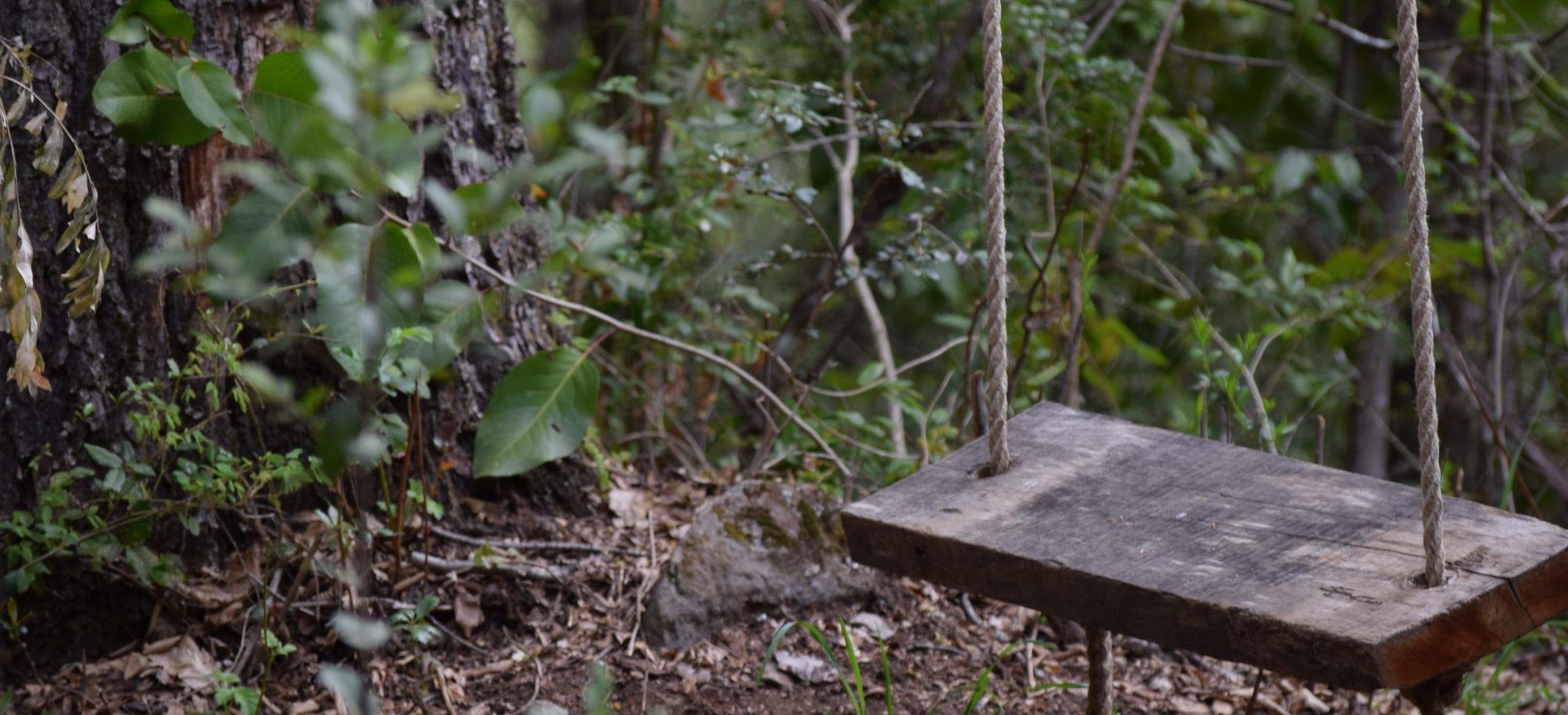 DSC_0049