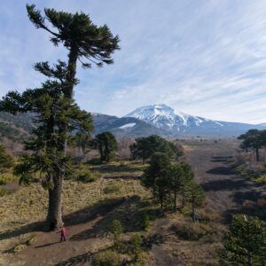 Tour y trekking Reserva Nacional Malalcahuello